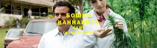 таблы Гусев