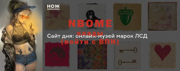 ГАЛЛЮЦИНОГЕННЫЕ ГРИБЫ Гусь-Хрустальный