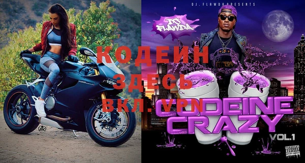 ГАЛЛЮЦИНОГЕННЫЕ ГРИБЫ Гусь-Хрустальный