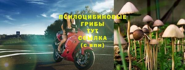 ГАЛЛЮЦИНОГЕННЫЕ ГРИБЫ Гусь-Хрустальный