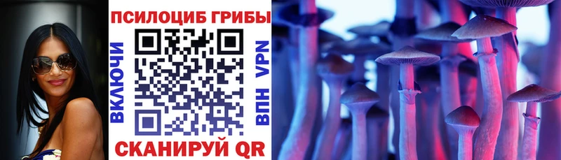 Галлюциногенные грибы мицелий  Зеленогорск 