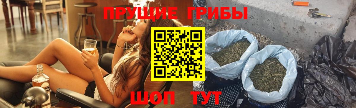 Галлюциногенные грибы Cubensis Зеленогорск