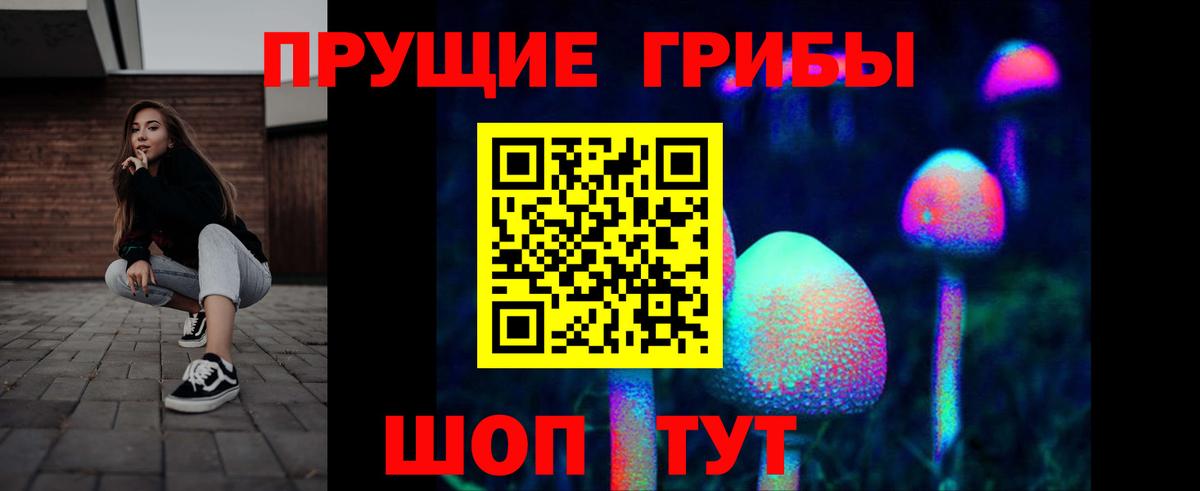 Галлюциногенные грибы GOLDEN TEACHER  Псилоцибиновые грибы Psilocybine cubensis  Зеленогорск  Вход с VPN 